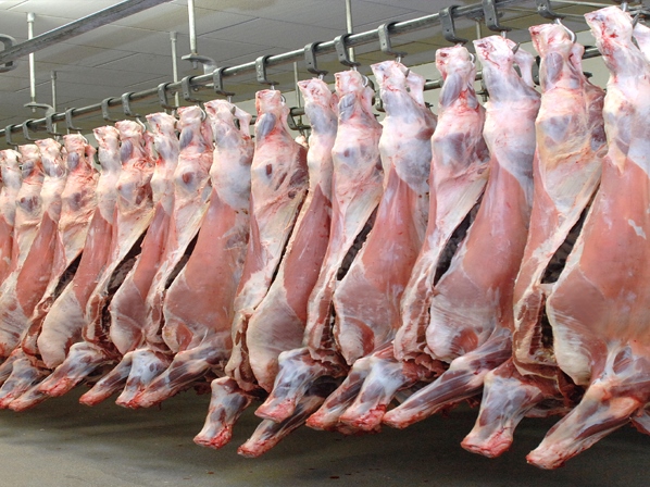 Русија забрани увоз на говеда и на месо од Македонија