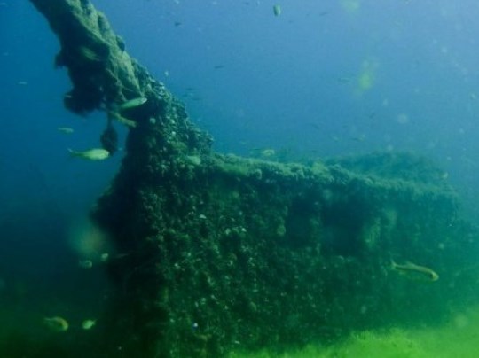 Откриени потопени бродови од 1887 година, во Охридското Езеро