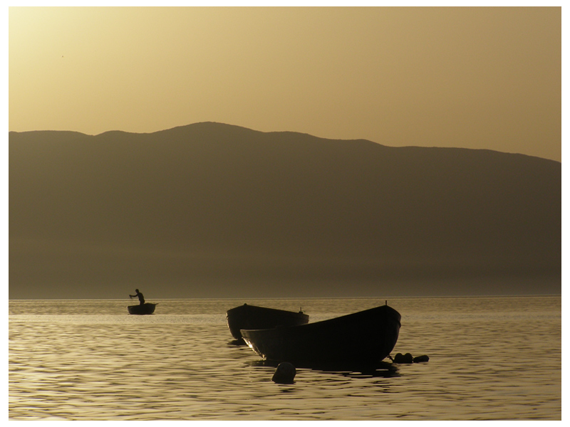 Екологистите до Бернската конвенција: Заштита на Охридското Езеро и Галичица