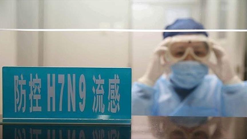 Кина: Во последните три месеци од птичји грип починаа 106 луѓе