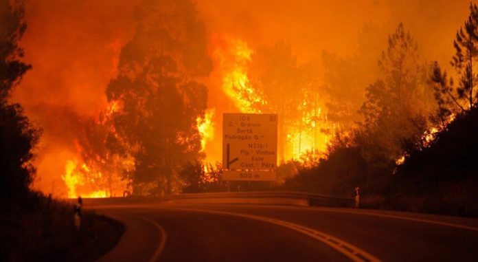 Португалија: Во пожарите 57 мртви и многу тешко повредени