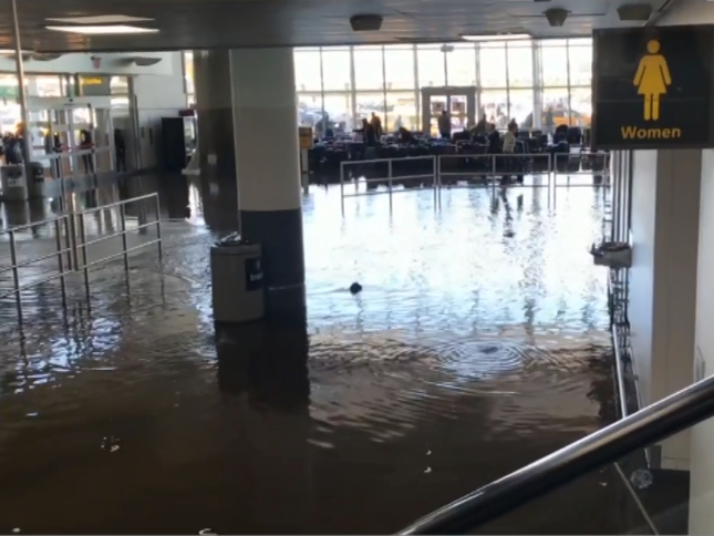 Поплава на меѓународниот терминал на ЏФК во Њујорк, одложени повеќе летови