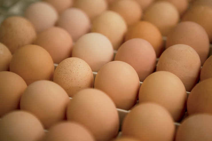 АХВ: Засилени контроли на јајцата, боите и месото пред Велигден
