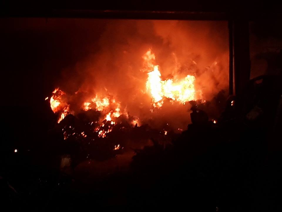 Избувнаа три големи пожари на отворено кај Струмица