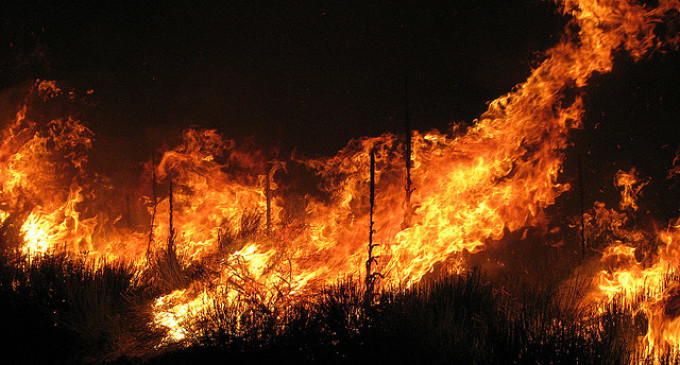 Калифорнија уште се бори со пожарот кој до сега усмрти 7 лица