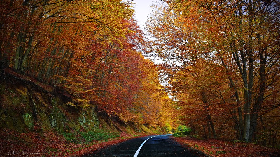 Фотографија на денот: Есенска идила – Орце СТОЈЧЕВСКИ