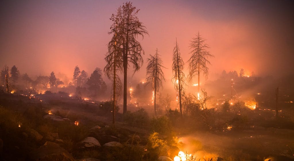 Калифорнија: Во пожарите загинаа 31 лице – 228 се исчезнати