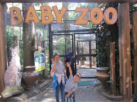 Зоолошка градина ќе отвора Бејби Зоо