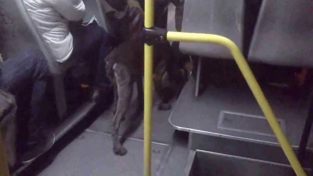 ЈСП: Лицата со попреченост ќе можат да се возат со куче придружник во автобусите и на жичарницата