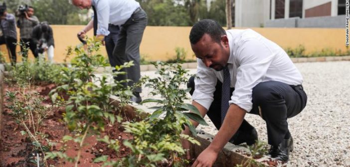 Етиопија засади повеќе од 350 милиони дрвја за 12 часа