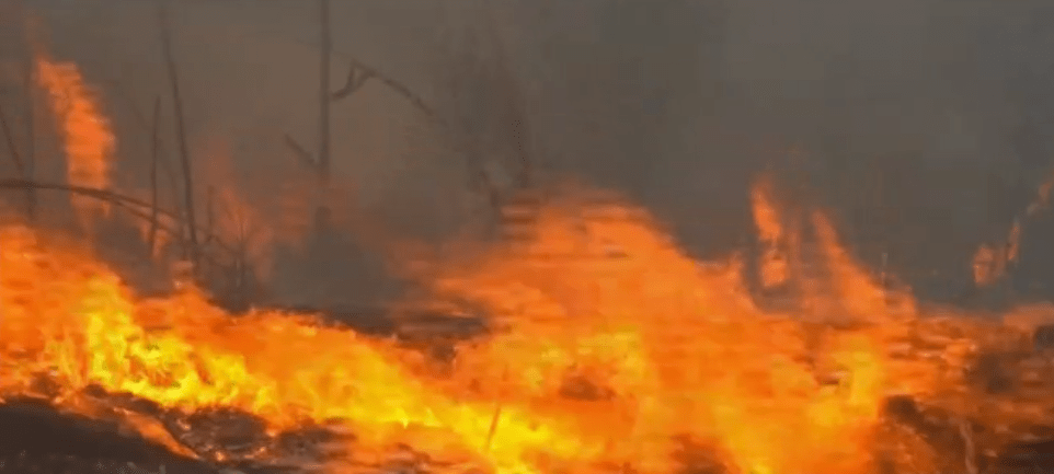 Болсонаро сака помош за пожарите, ама владата да ги контролира тие пари