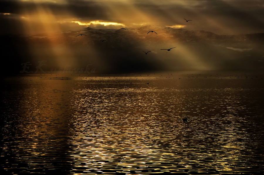 Фотографија на денот: Единственото зајдисонце на охридското крајбрежје – Ема КУШЕВСКА