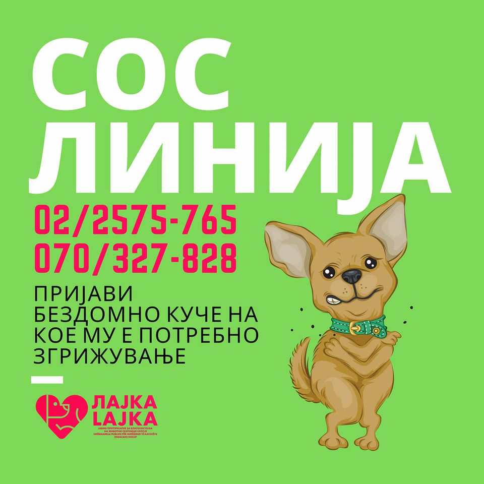“ЛАЈКА”: Пријави бездомно куче за згрижување