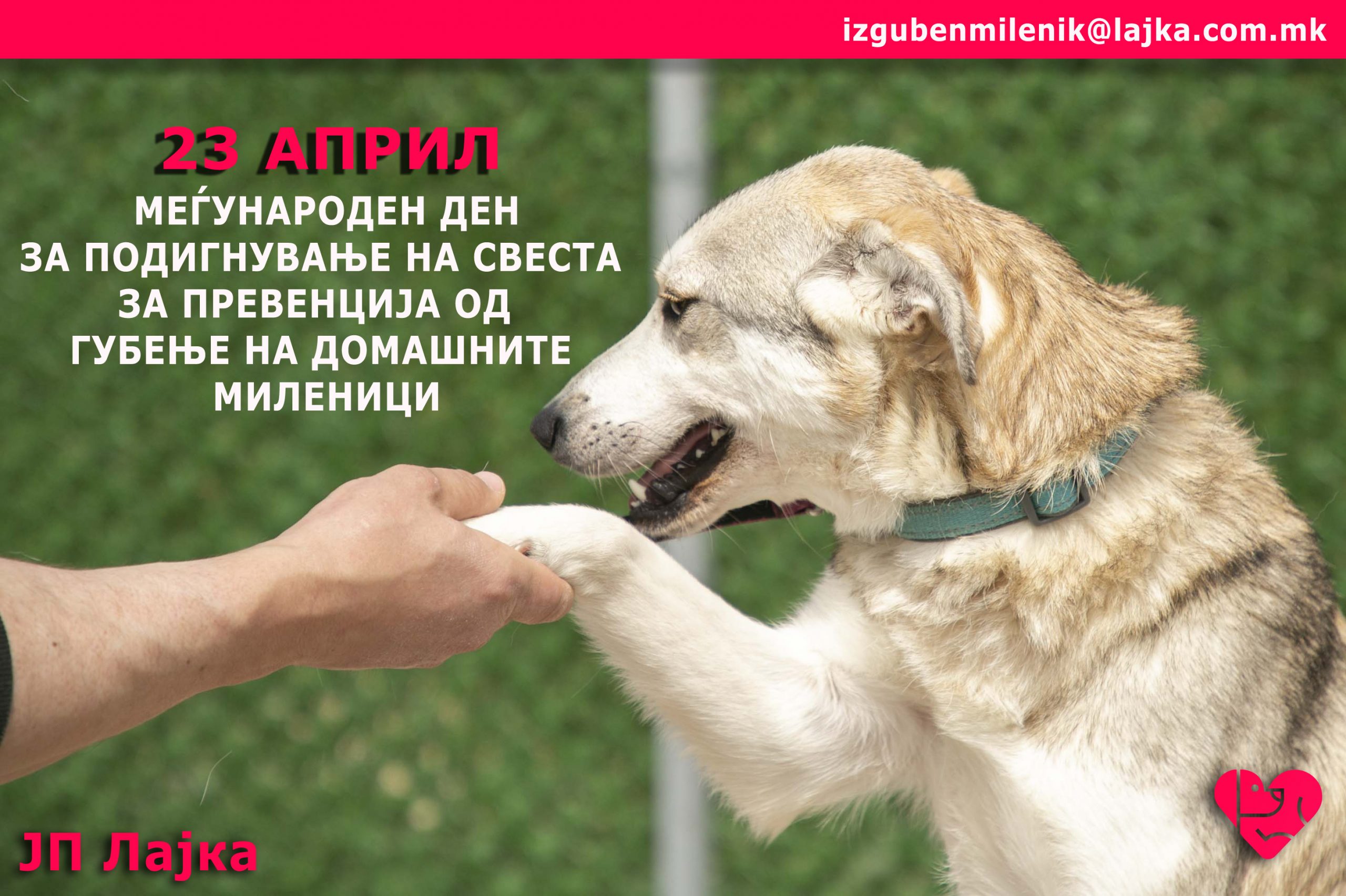 Меѓународен ден за подигнување на свеста за превенција од губење на домашни миленици