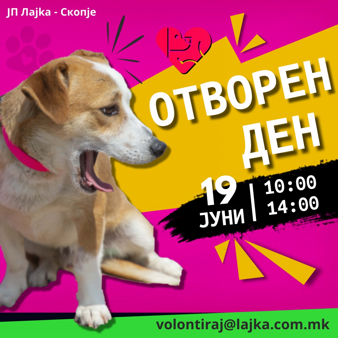 Отворен ден за љубители на кучиња во ЈП Лајка