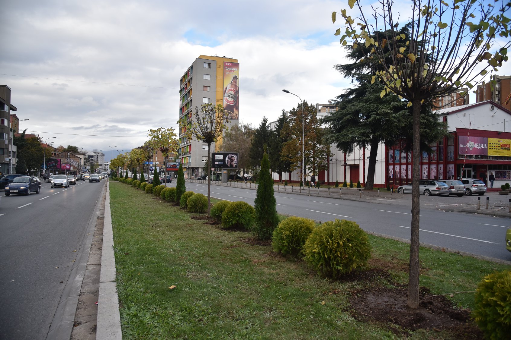Град Скопје ќе набави садници за нови зелени површини