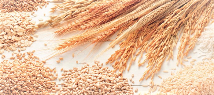 Владата ја продолжи забраната за извоз на пченица и наполица, јачмен, пченка, брашно