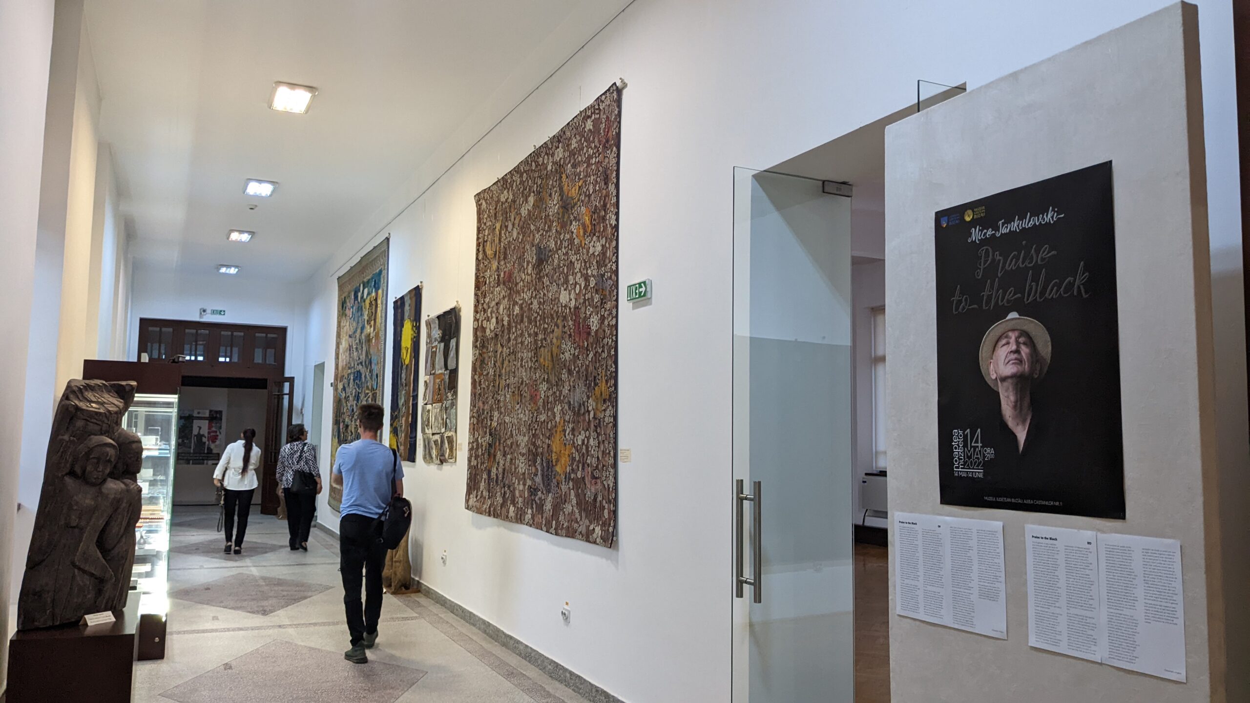 Изложба на Мице Јанкуловски во Музејот на областа Бузау, Романија
