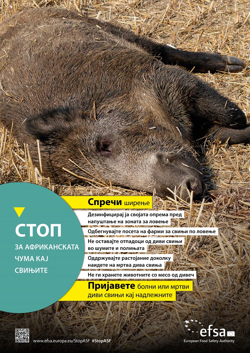 Детектирај, спречи, пријави: Кампања на ЕФСА за Африканската чума кај свињите