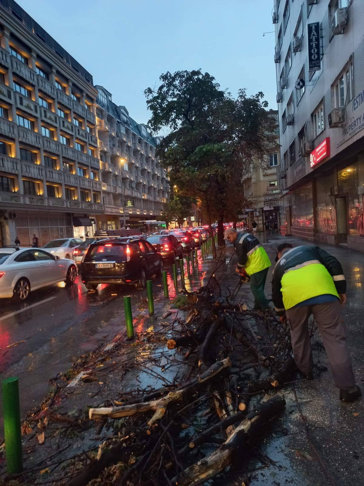 Екипите на ЈП Паркови и зеленило го расчистуваат градот од паднати дрвја и гранки