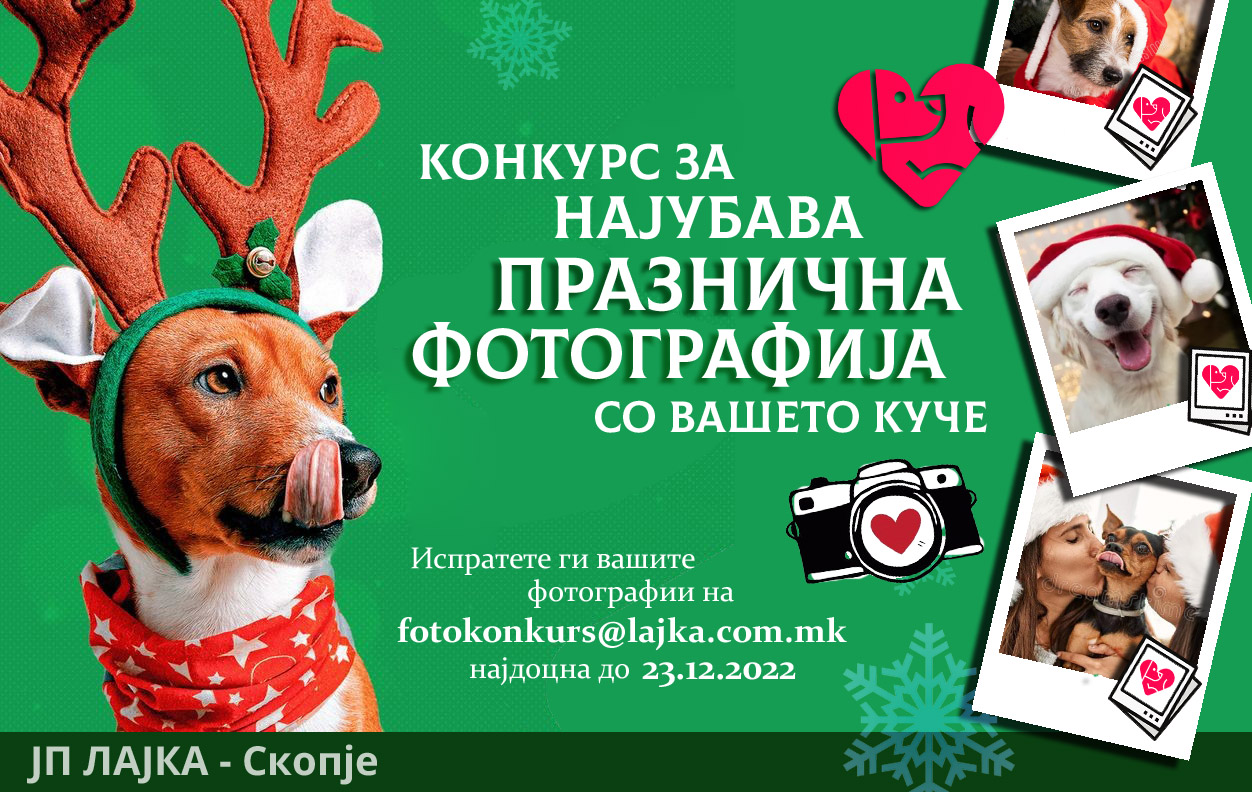 ЛАЈКА објави конкурс за најубава празнична фотогорафија со вашето куче