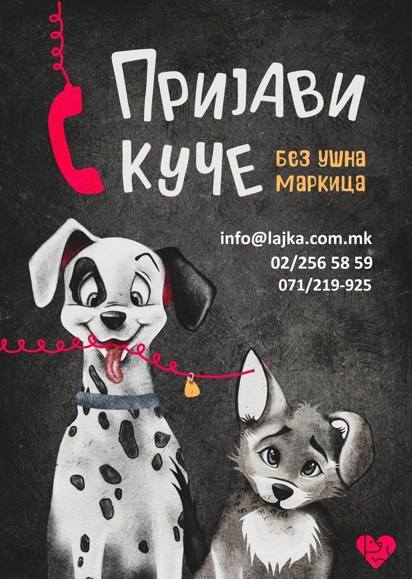 Лајка заловува во општина Центар: Пријави куче без ушна маркица