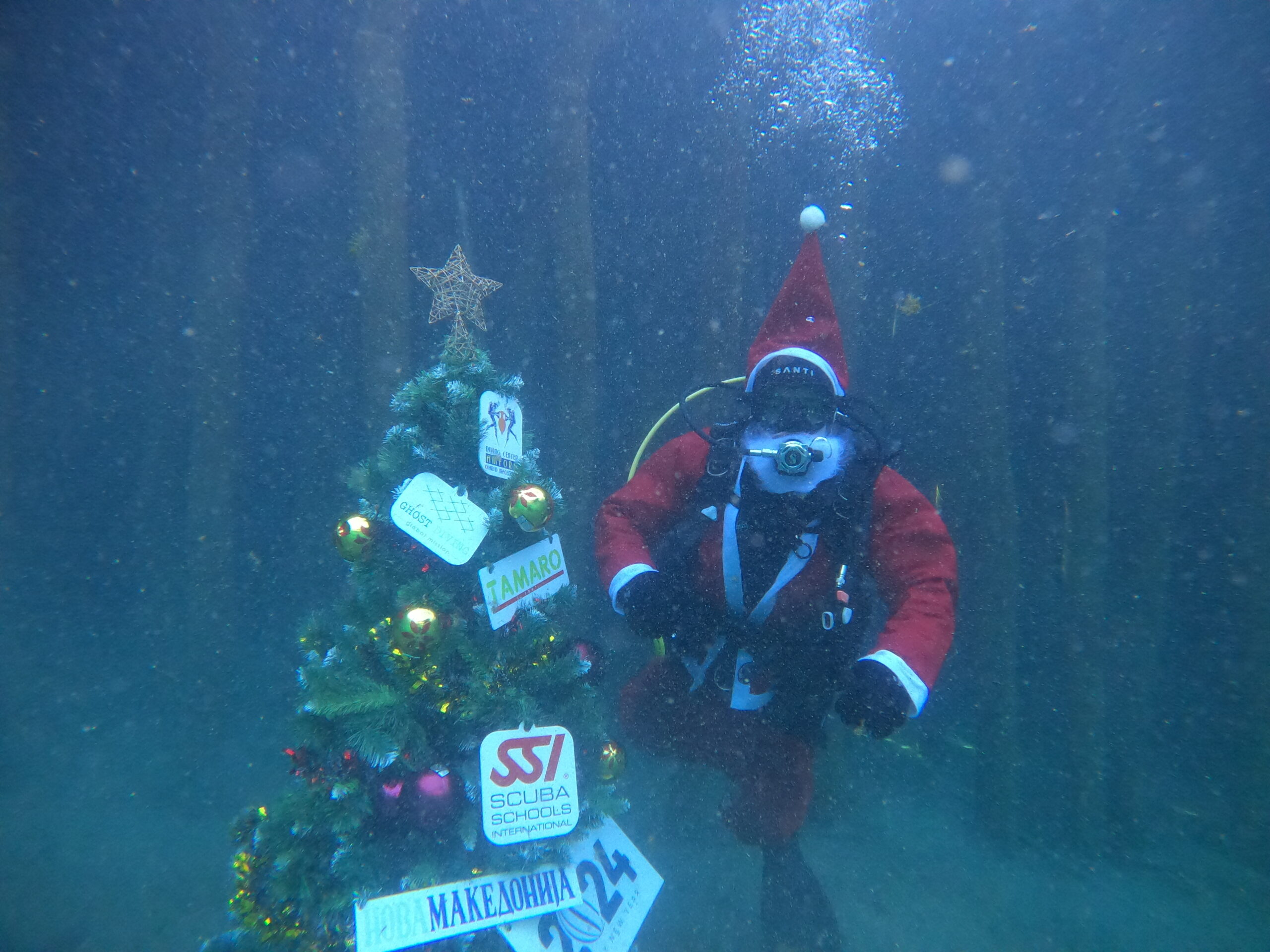 Традицијата продолжува, блесна новогодишната елка под вода