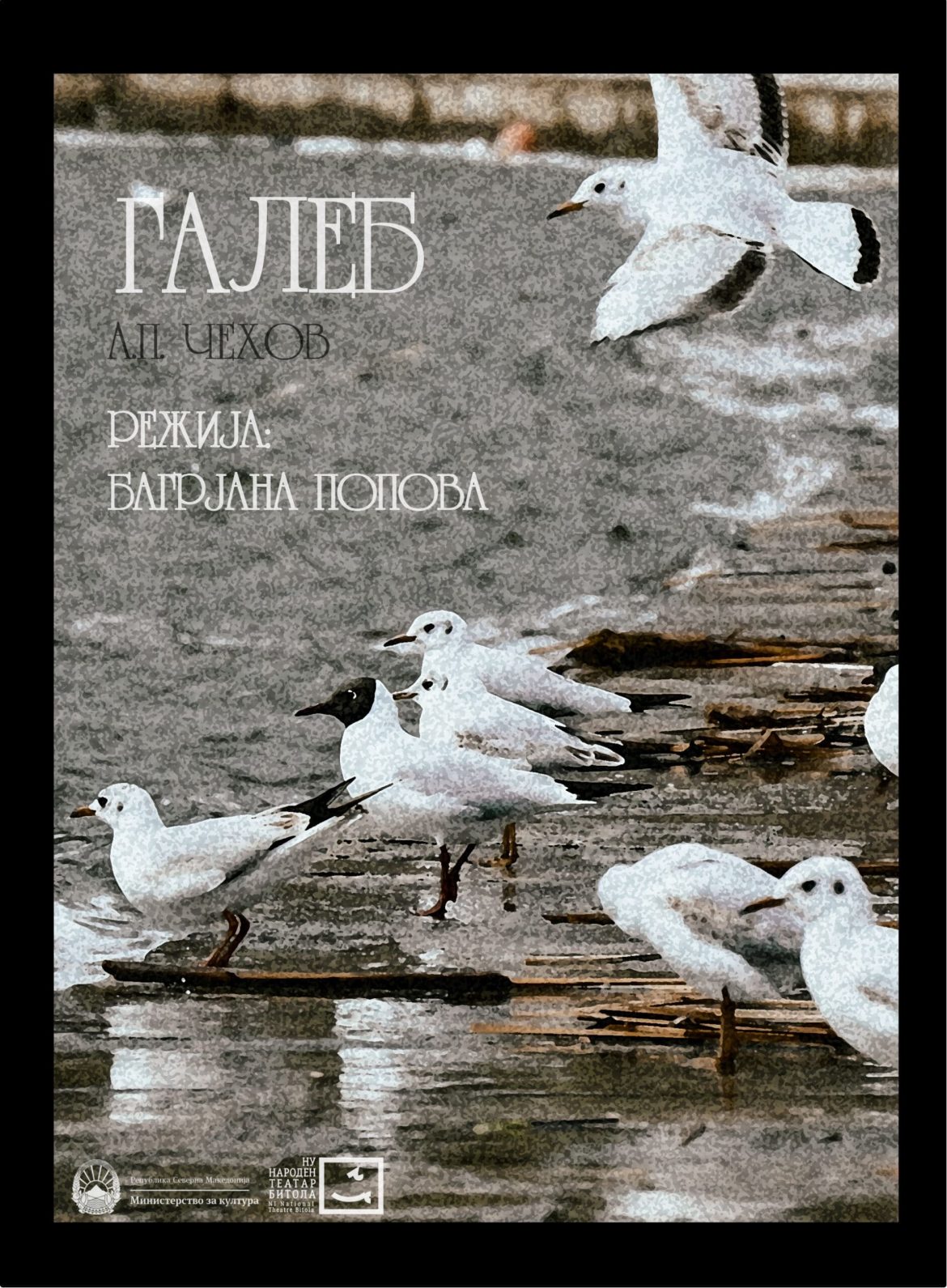 Премиера на театарската претстава „Галеб“ од А. П. Чехов