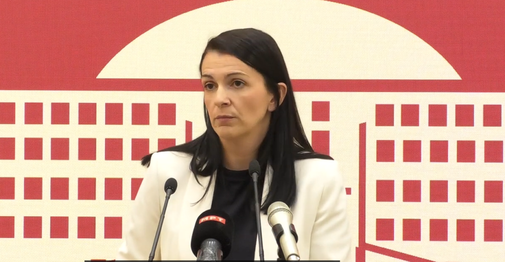 СДСМ бара повлекување на криминалниот закон за Скопје 2028